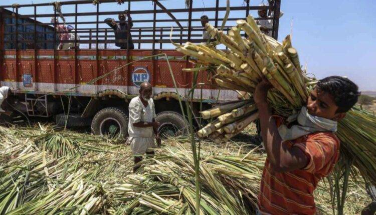 sugar export india