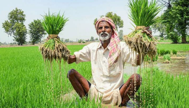 किसान सम्मान निधि: 9.5 करोड़ लाभार्थियों को भेजी गयी वाली 9वीं किस्त - Kisan of India