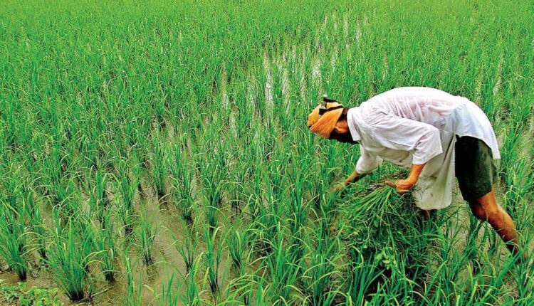 पीएम किसान सम्मान निधि योजना ( PM Kisan Samman Nidhi Yojana ) 