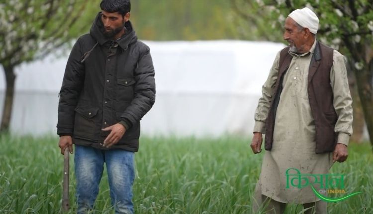 जैविक खेती गनस्तान गाँव ( organic farming ganstan village kashmir )