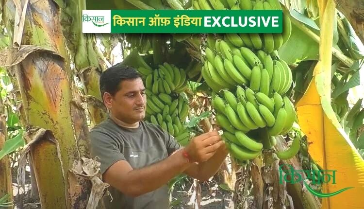 केले की खेती banana farming