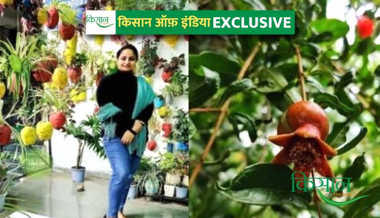 मिनी फॉरेस्ट sakshi bhardwaj mini forest