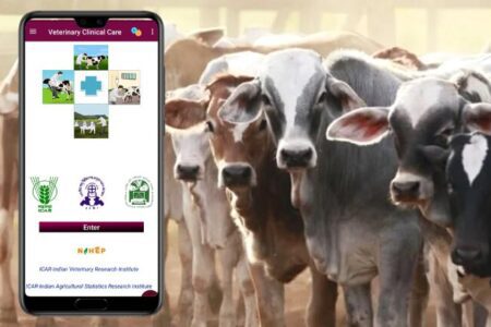 Dairy Animals Diseases: मवेशियों के रोग का पता और उपचार बताएगा ये मोबाइल ऐप  - Kisan of India