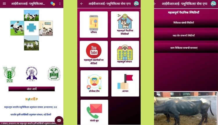 how to treat animal disease with mobile app ( मवेशियों के रोग )