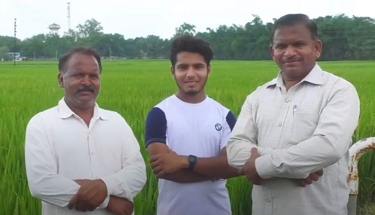 paddy farming in madhya pradesh ( मध्य प्रदेश में धान की खेती )