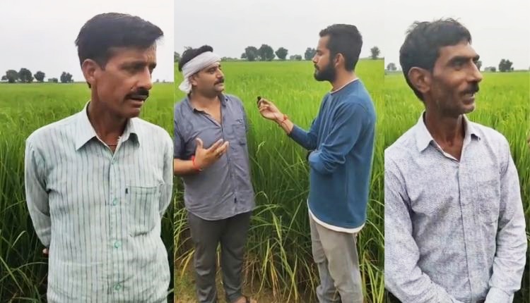 कैसे हैं बागपत के धान किसानों के असल हालात? किसान ऑफ़ इंडिया की ग्राउंड रिपोर्ट