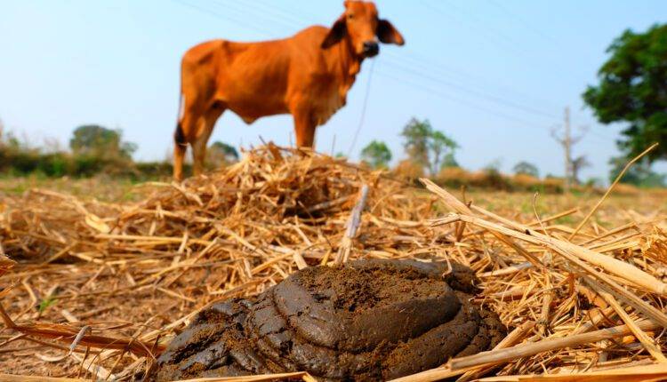 godhan nyay yojana ( गोधन न्याय योजना )