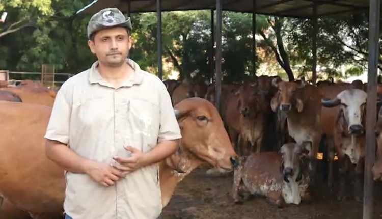 देसी गायों की गौशाला ( aseem rawat hetha dairy )