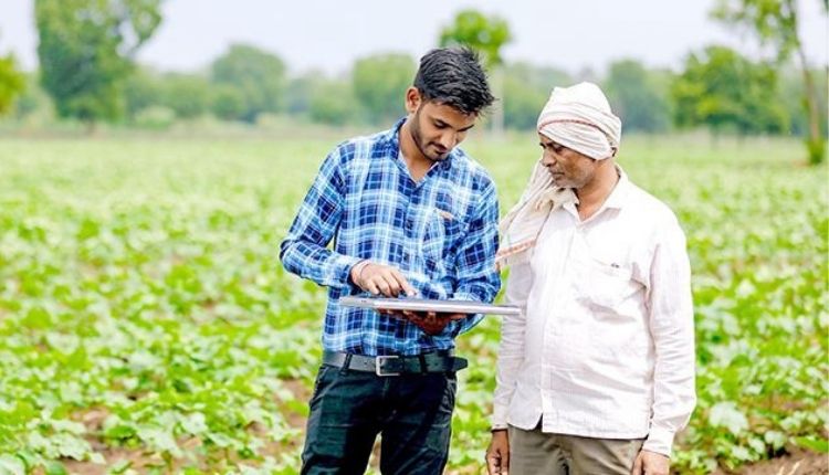 कृषि क्षेत्र में नौकरी 