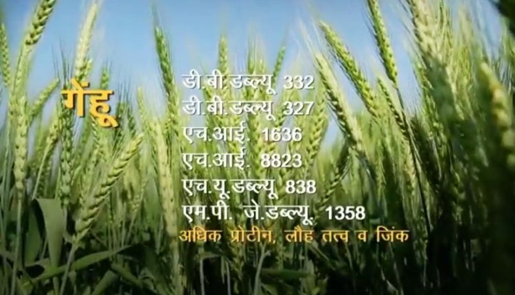 फसलों की किस्म ( 35 crop varieties ) ICAR-IIWBR