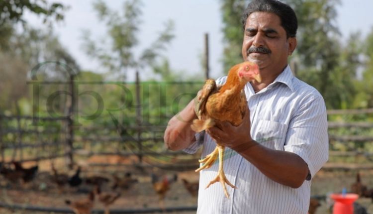 backyard poultry farming