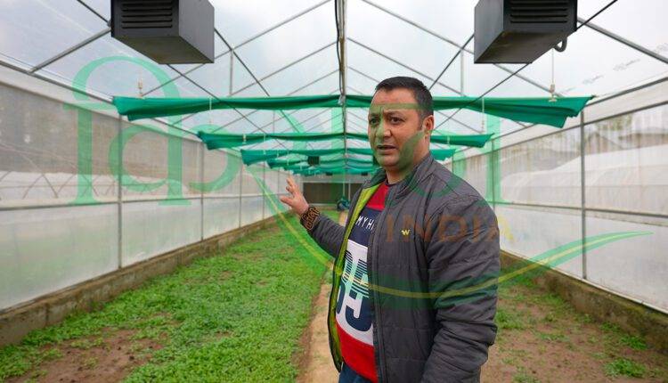 किचन गार्डन स्कीम ( kitchen garden scheme )