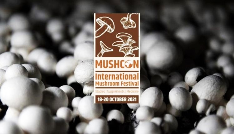 mushcon international mushroom festival