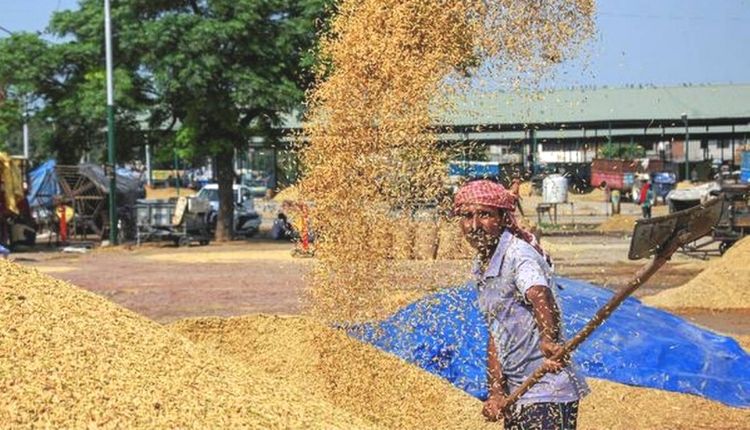 धान खरीद ( PADDY PROCUREMENT )