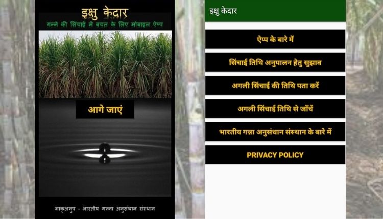 गन्ना किसान ( Ikshu Kedar app )