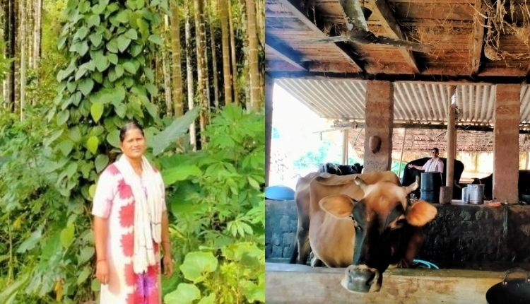 एकीकृत कृषि प्रणाली अनीता ( integrated farming system Anitha M. )