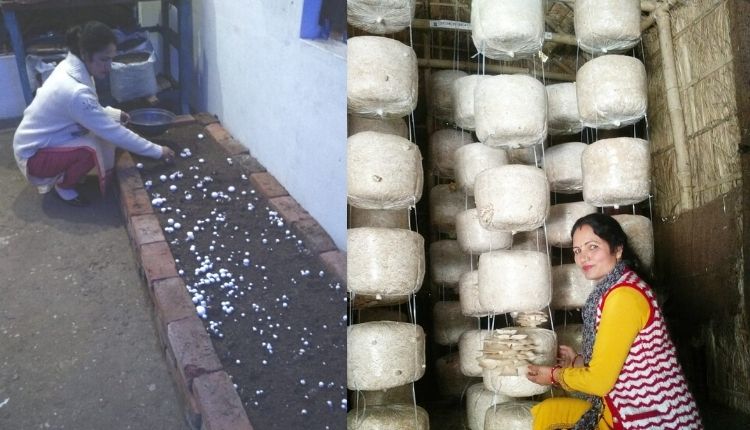 मशरूम की खेती ( MUSHROOM FARMING UTTARAKHAND )