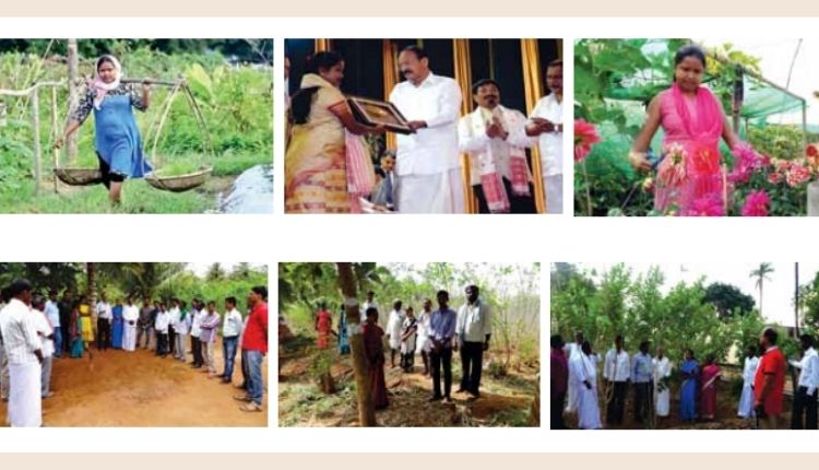 Organic Farming