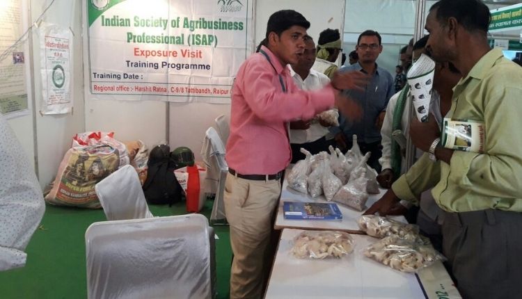 mushroom cultivation
