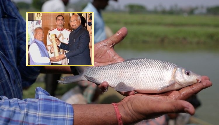 बाटा कृष्ण साहू मछली पालन ( Bata Krushna Sahoo fish farming )
