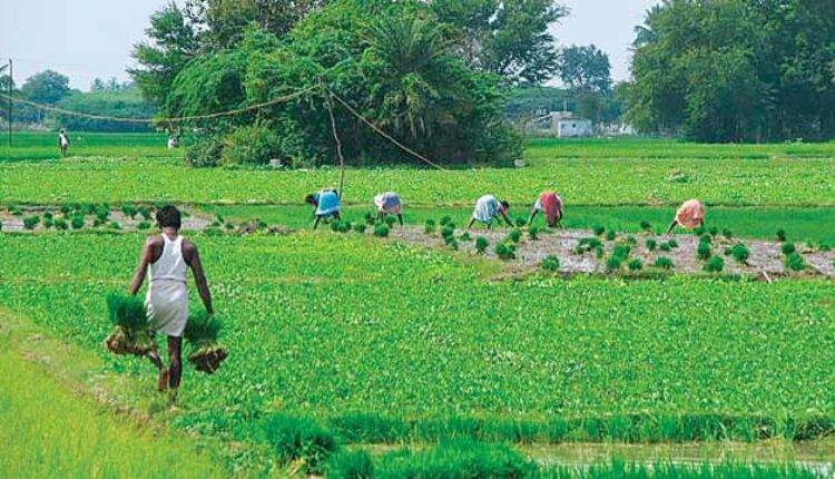 land record bhulekh portal ( भूलेख क्या है)