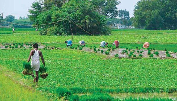 land record bhulekh portal ( भूलेख क्या है) 