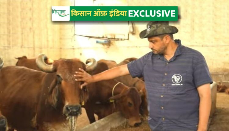 देसी गायों की गौशाला ( aseem rawat hetha dairy )