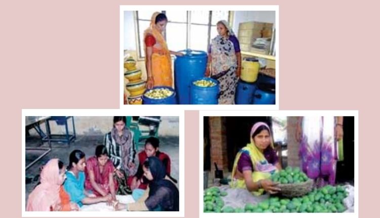 आम की खेती उत्तर प्रदेश उन्नाव ( mango farming uttar pradesh unnao)