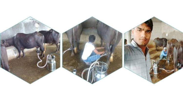 भूपेंद्र पाटीदार दुग्ध क्रांति (bhupendra patidar dairy farming