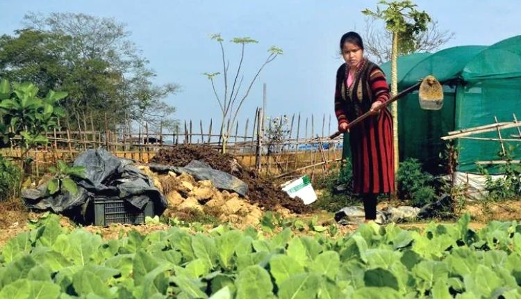 नबनीता दास ( Nabanita Das left government job to become farmer