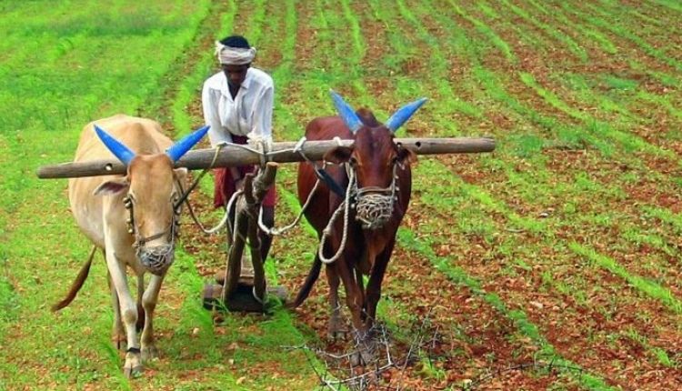 zero budget natural farming ज़ीरो बजट खेती