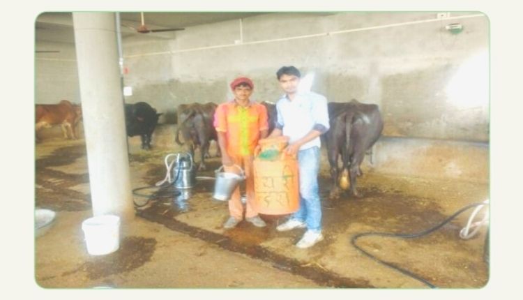 डेयरी फ़ार्मिंग भूपेंद्र पाटीदार दुग्ध क्रांति (bhupendra patidar dairy farming