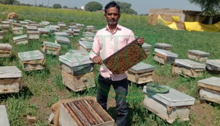 नाबार्ड योजना मधुमक्खी पालक (nabard scheme beekeeping farmers)