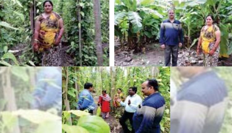 Areca Nut
