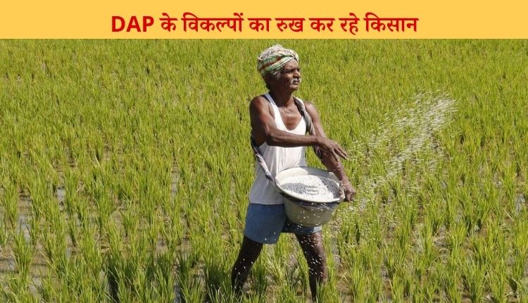 DAP की किल्लत (fertiliser DAP shortage)