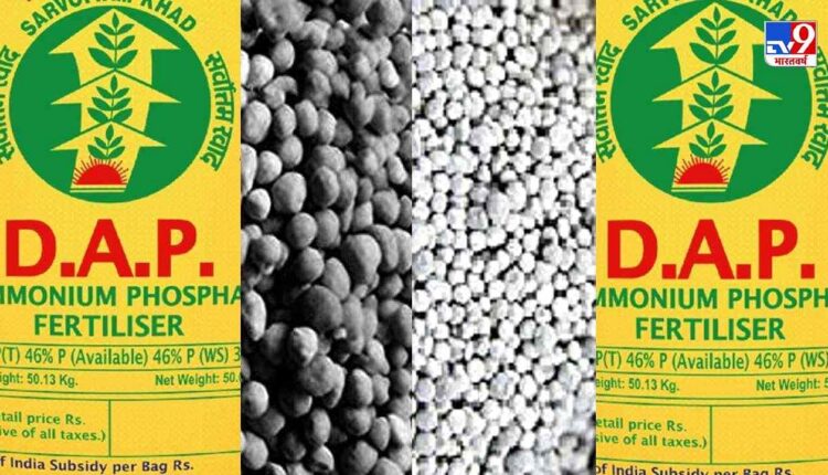 DAP की किल्लत (fertiliser DAP shortage)