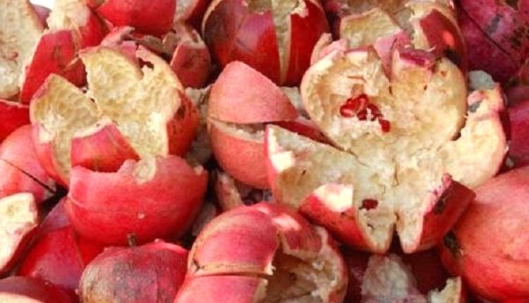 अनार के छिलके (pomegranate peel waste benefits)
