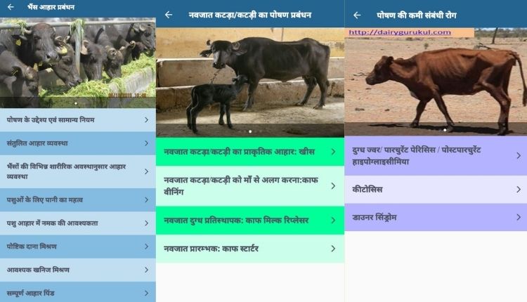 ICAR-CIRB Bhains Poshahar (Buffalo Nutrition) App
