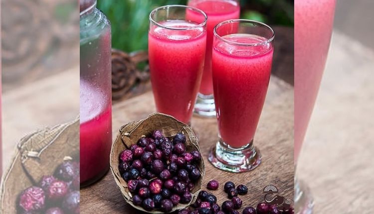 फालसा की खेती (Falsa Farming) falsa juice