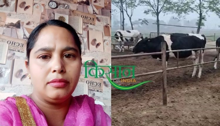 सरनजीत कौर, अमृतसर, पंजाब (डेयरी फ़ार्म) punjab woman dairy farm