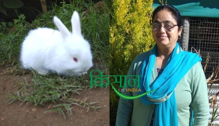 मंजूषा सक्सेना, माउंट आबू, राजस्थान खरगोश पालन rabbit farming
