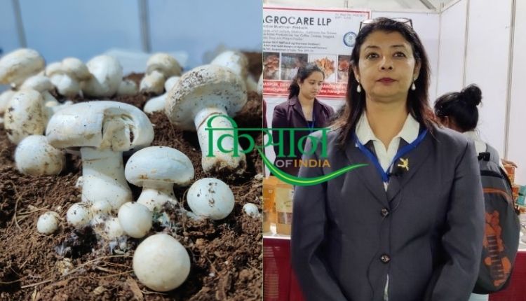 हिरेशा वर्मा, देहरादून, उत्तराखंड uttarakhand mushroom 