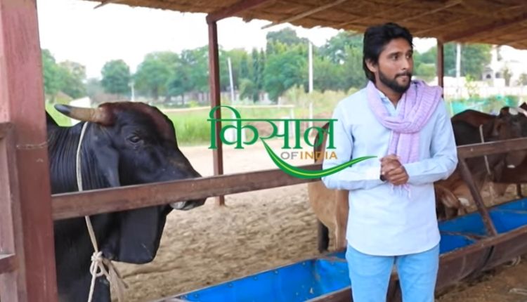 डेयरी व्यवसाय dairy business 