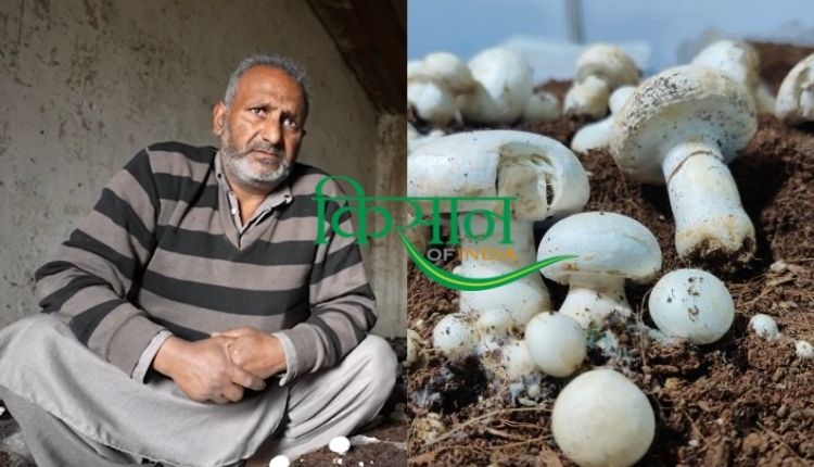 मशरूम की खेती mushroom farming