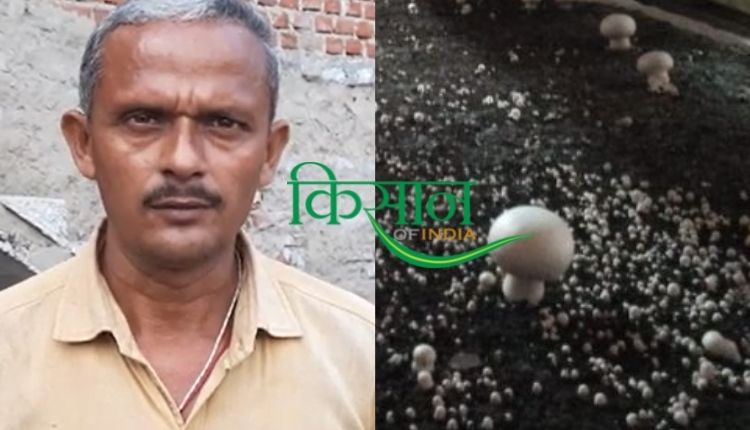 मशरूम की खेती mushroom farming