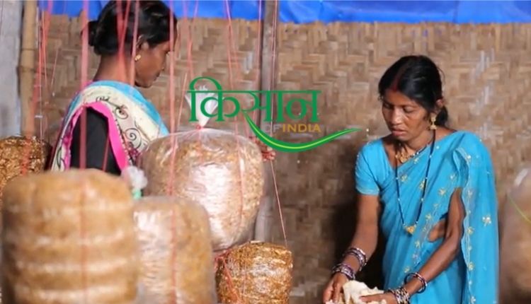 मशरूम की खेती mushroom farming