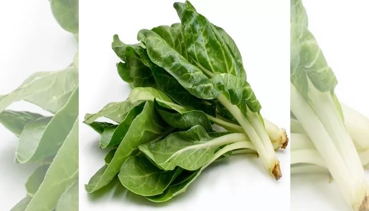 types of spinach पालक की किस्में Spinach Varieties