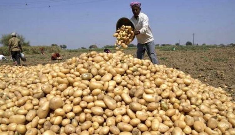 pepsico potato variety e FL-2027