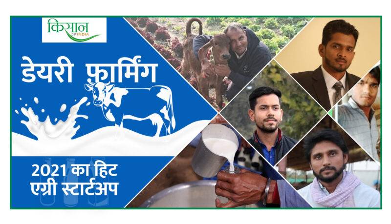 डेयरी व्यवसाय dairy business