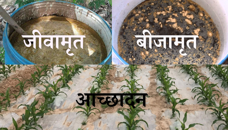 ‘ज़ीरो बजट खेती’ (Zero Budget Farming): जानिए क्यों प्रधानमंत्री इस प्राकृतिक तकनीक को ज़ोर-शोर से बढ़ावा देना चाहते हैं?